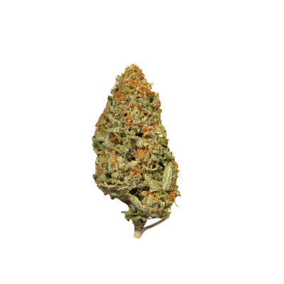 Chocolope