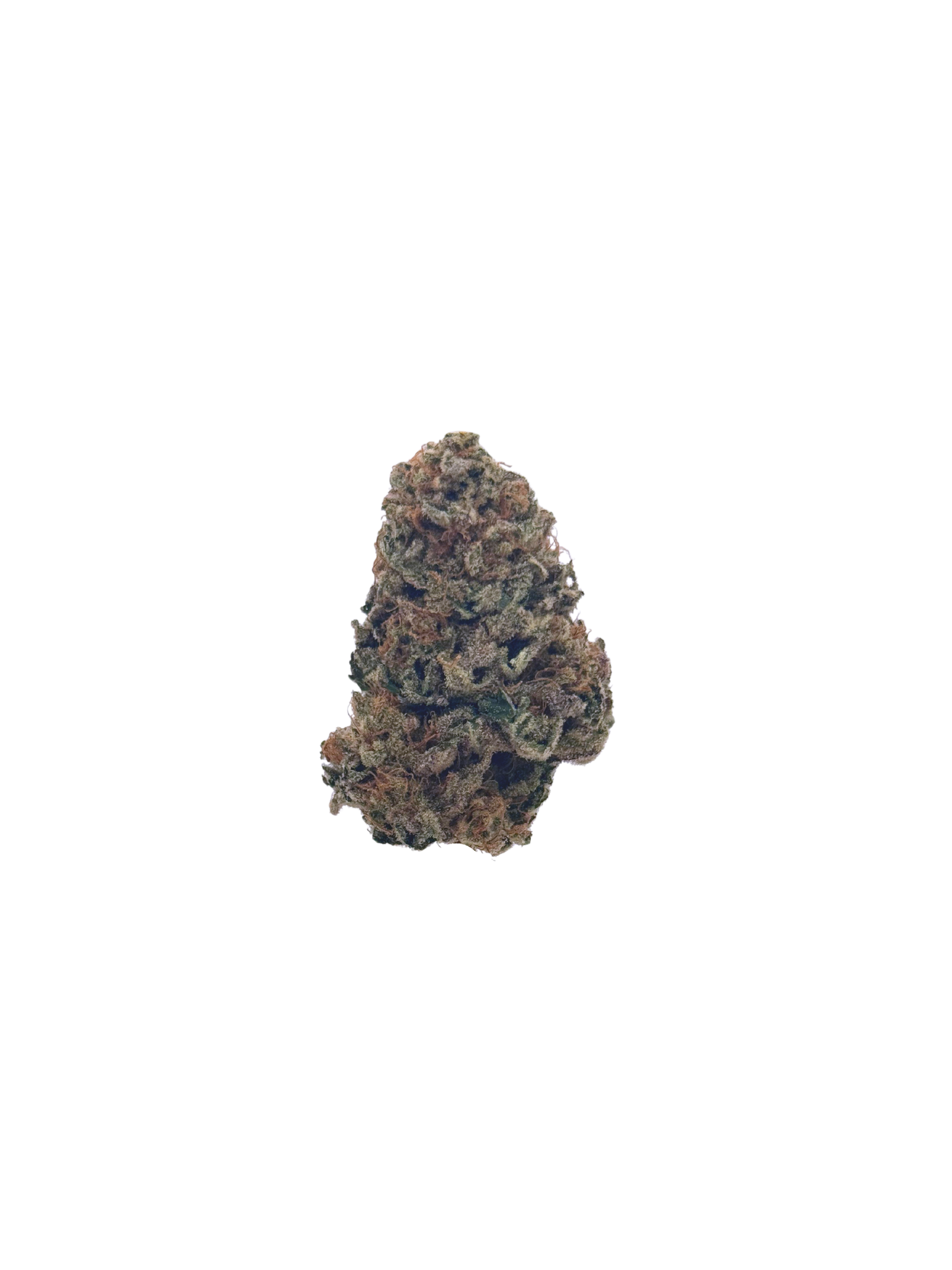 Chocolope