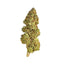 Christmas Cracker - Cannibisters Limited Collection sativa cannabis strain — buy online Cape Town | Cannibisters