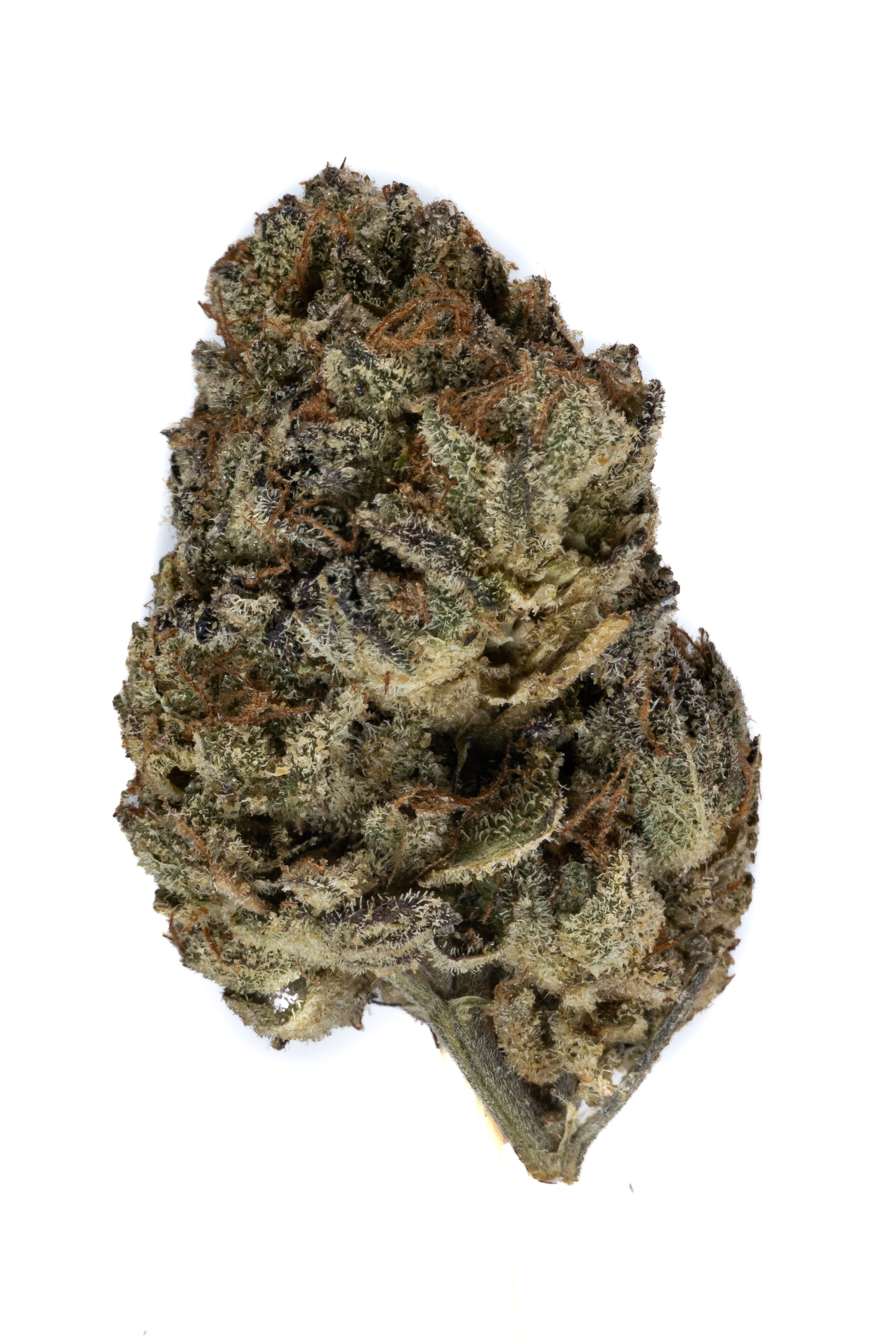 Dosi Punch indica cannabis strain — buy online Cape Town | Cannibisters