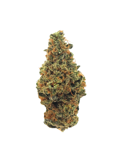 Premium Durban Poison