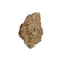 Fruit Kings cannabis cannabis strain — buy online Cape Town | Cannibisters
