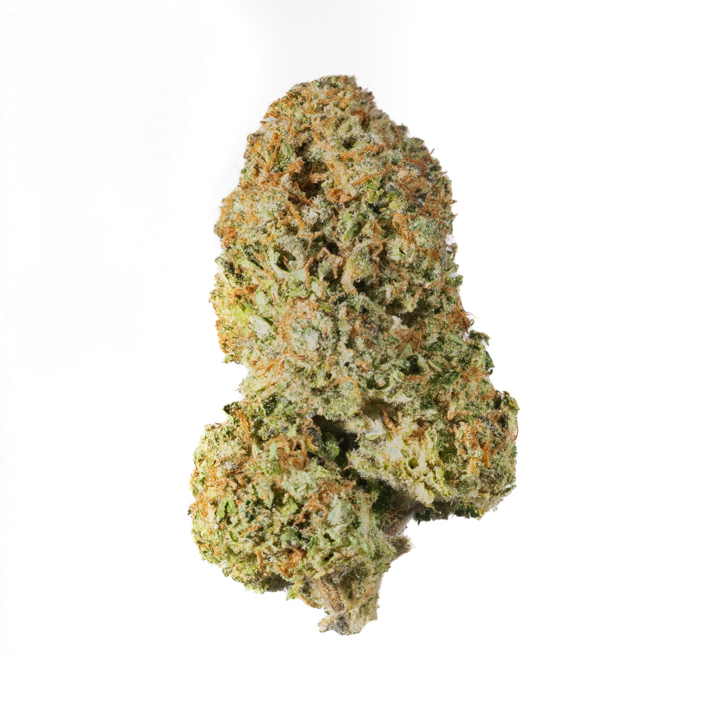 Grandpa's Endgame - Cannibisters Limited Collection