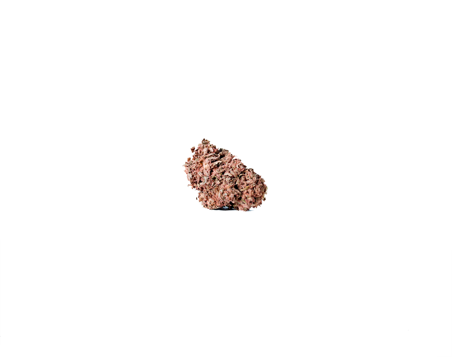 Gorilla Glue (Living Soil) cannabis cannabis strain — buy online Cape Town | Cannibisters