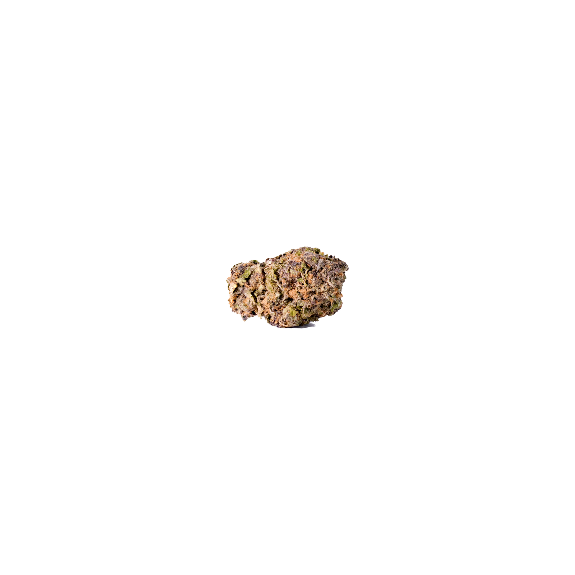 Greasy Runts hybrid cannabis strain — buy online Cape Town | Cannibisters