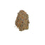 Katrina cannabis cannabis strain — buy online Cape Town | Cannibisters