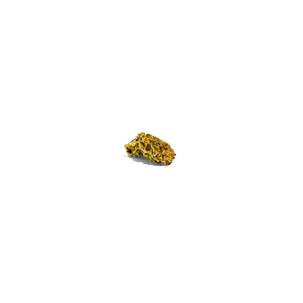 Kinder Kush sativa cannabis strain — buy online Cape Town | Cannibisters