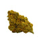 Kush Cake Joints cannabis cannabis | Cannibisters Cape Town