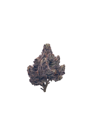 LA Rosa