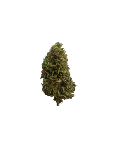 Christmas Cracker - Cannibisters Limited Collection