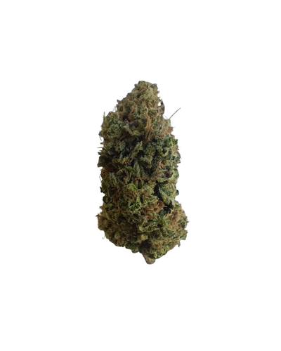 Sour Diesel MS1 - Cannibisters Limited Collection