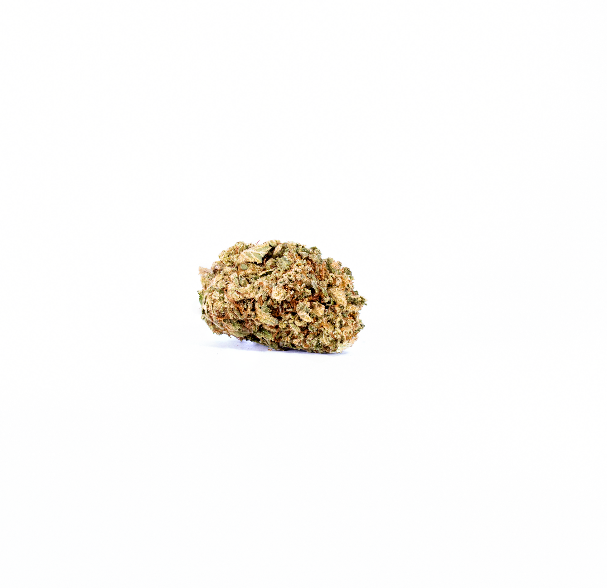Tangerine Dream (Living Soil) sativa cannabis strain — buy online Cape Town | Cannibisters