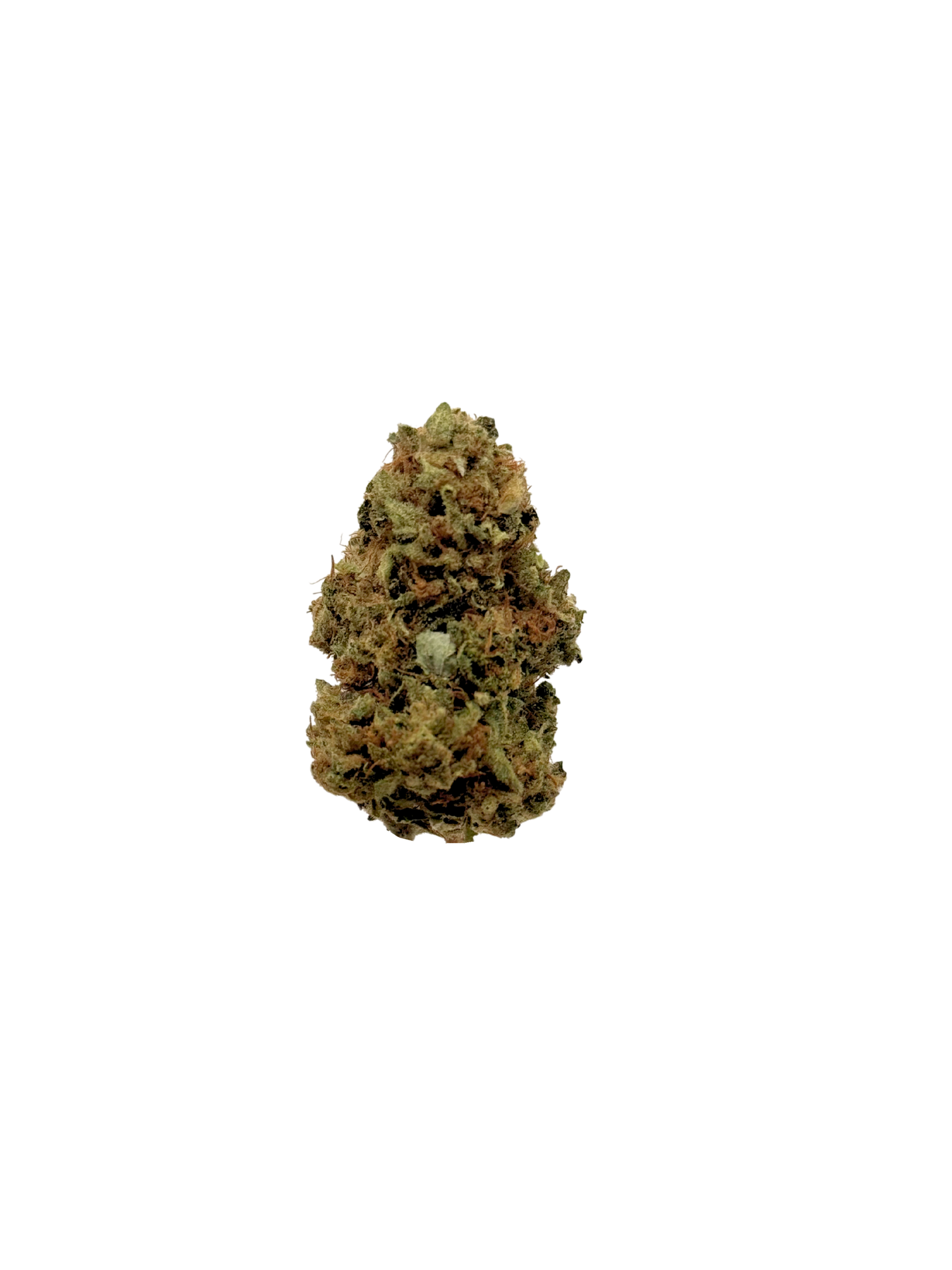 Blueberry OG - Organic Living Soil