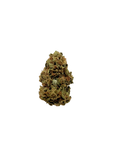 Blueberry OG - Organic Living Soil