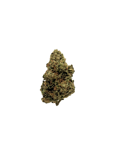 Chimera King - Organic Living Soil