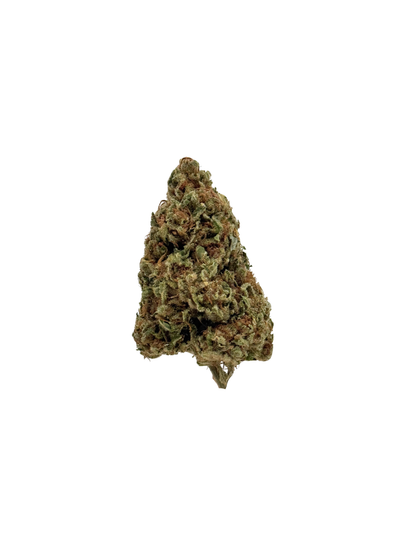 Chocolope - Organic Living Soil