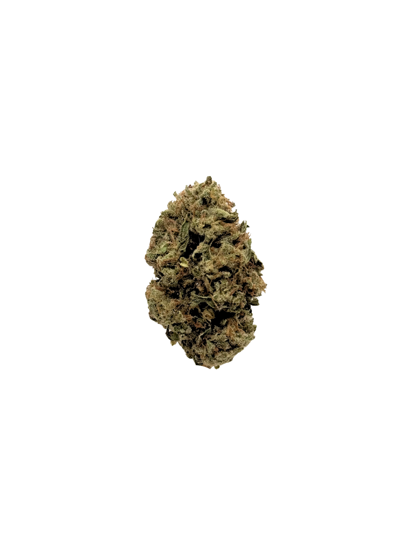 Gelato Jealousy - Organic Living Soil
