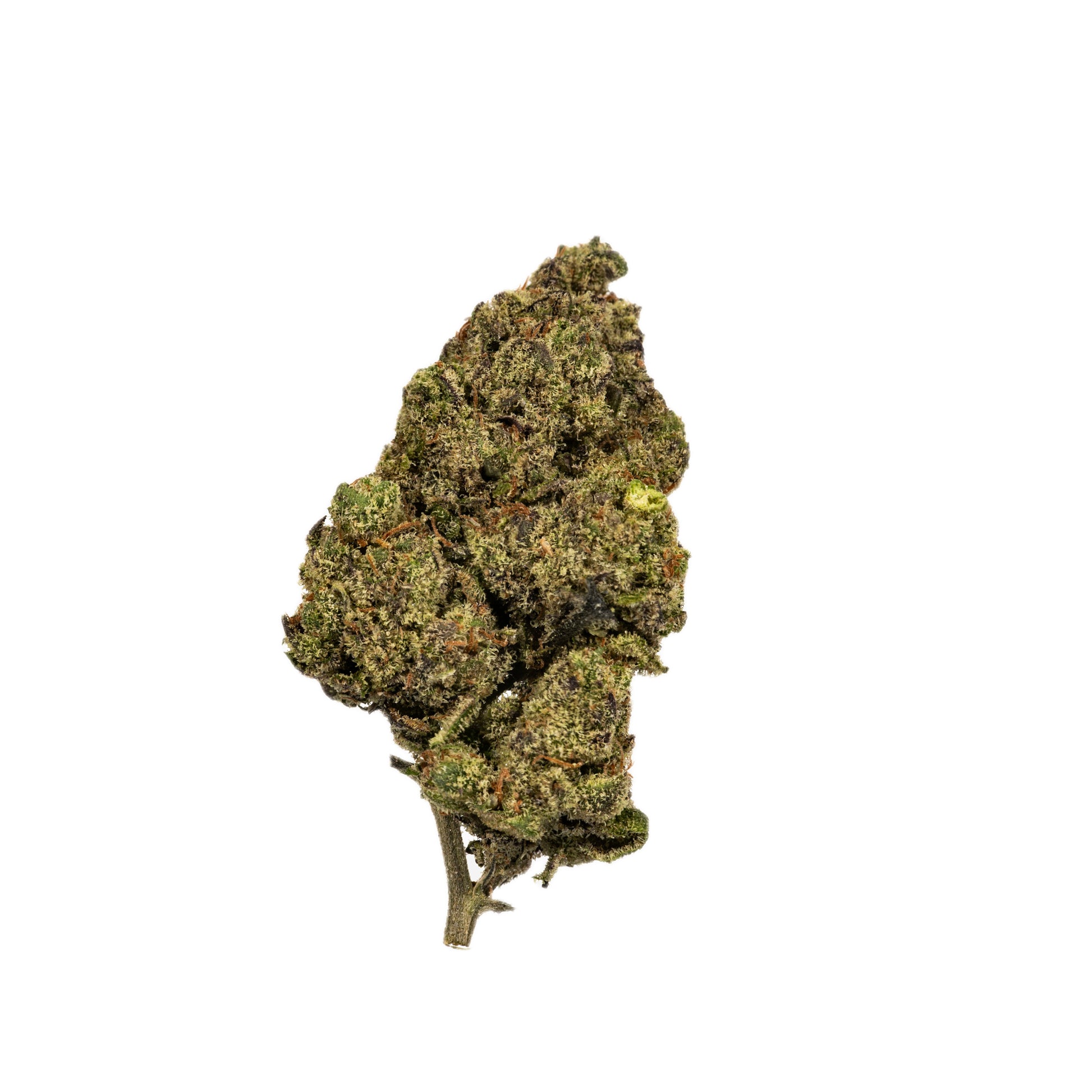 London Lobster indica cannabis strain — buy online Cape Town | Cannibisters