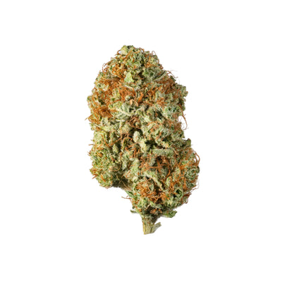 Mad Ghost - Cannibisters Limited Collection