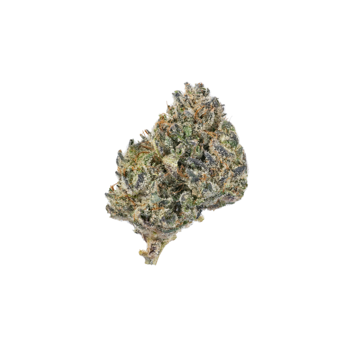 Mexican Candy hybrid cannabis strain — buy online Cape Town | Cannibisters