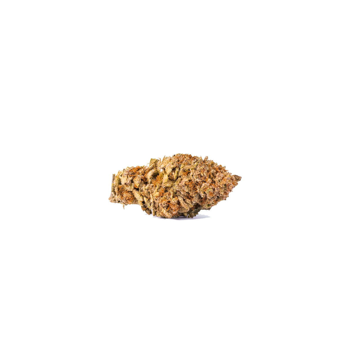 Mimosa Evo sativa cannabis strain — buy online Cape Town | Cannibisters