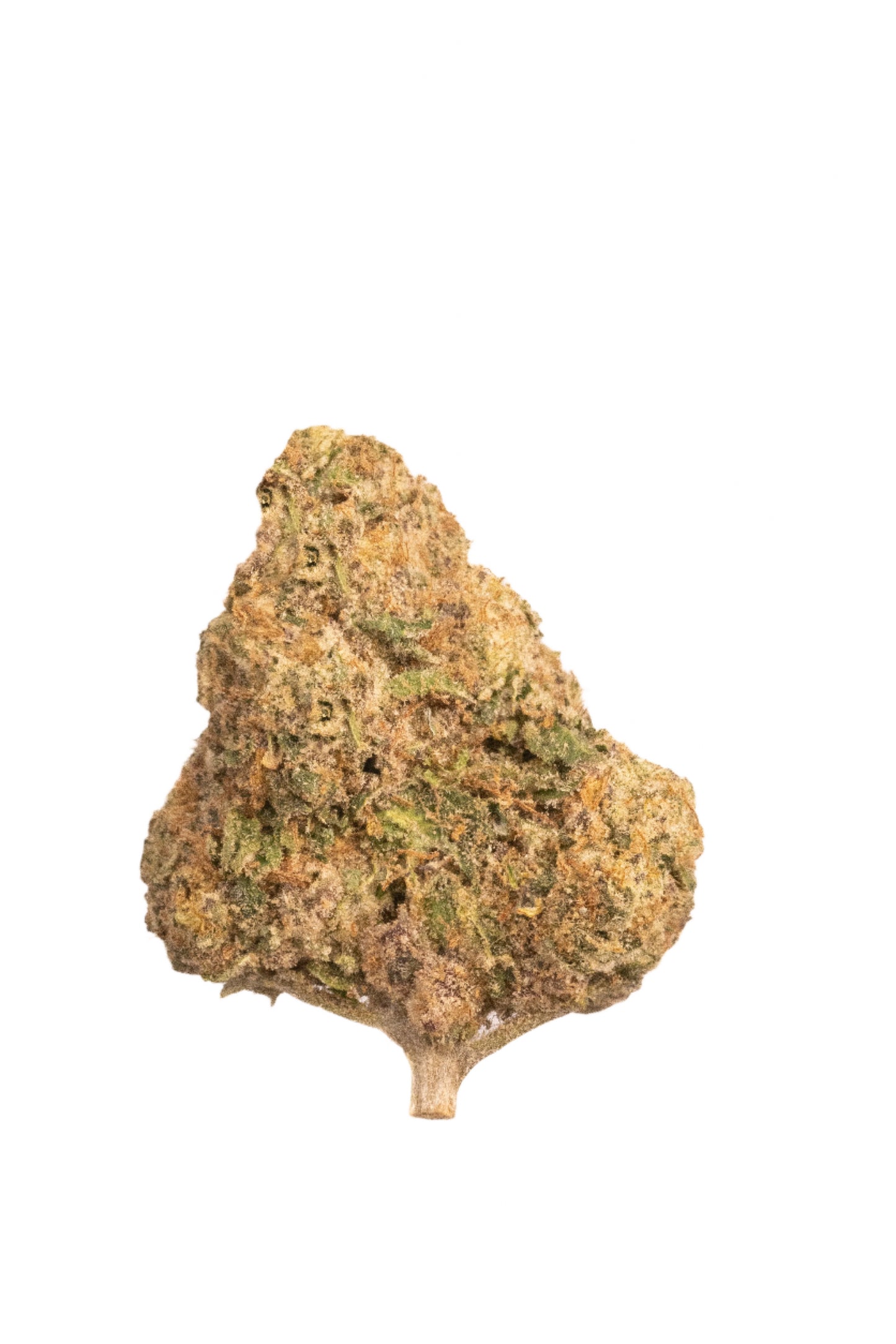 Mimosa sativa cannabis strain — buy online Cape Town | Cannibisters
