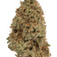 Neville's Haze cannabis cannabis | Cannibisters Cape Town
