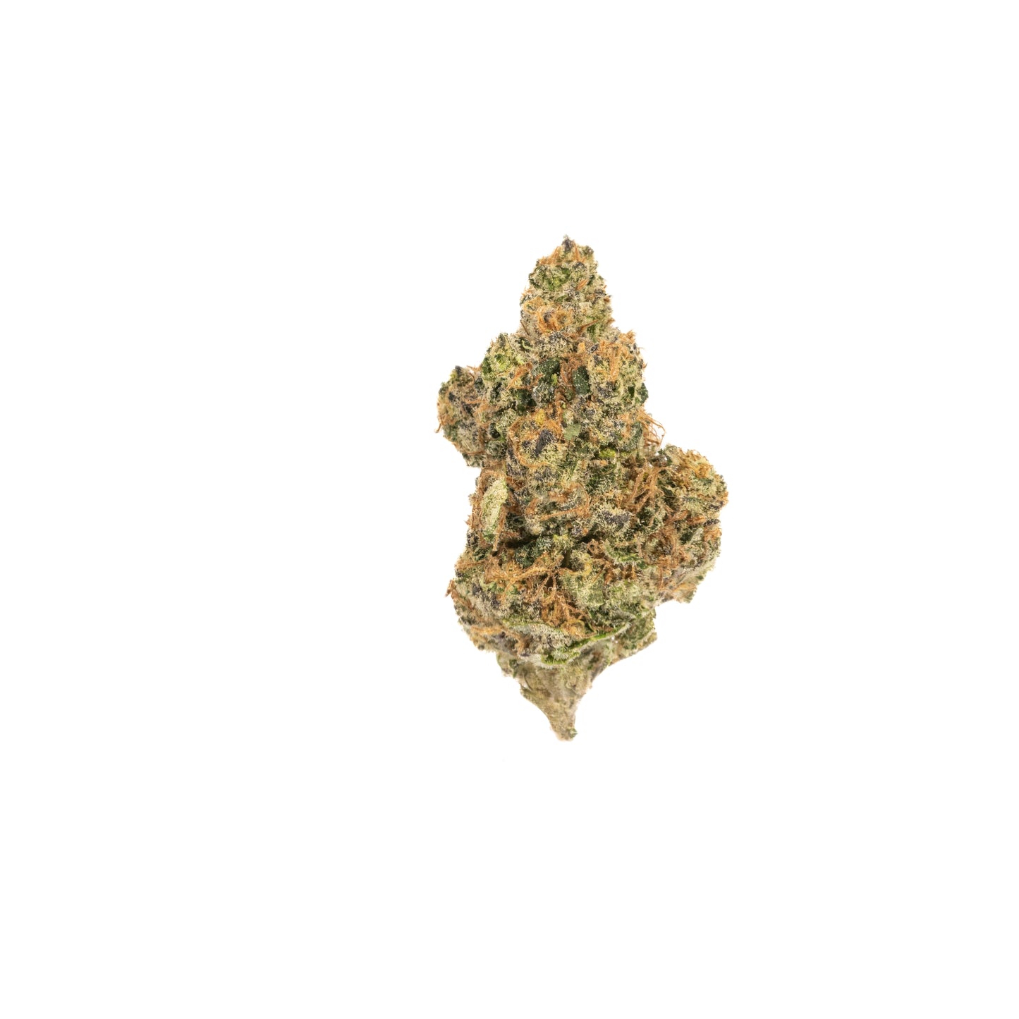 Nag Champ hybrid cannabis strain — buy online Cape Town | Cannibisters