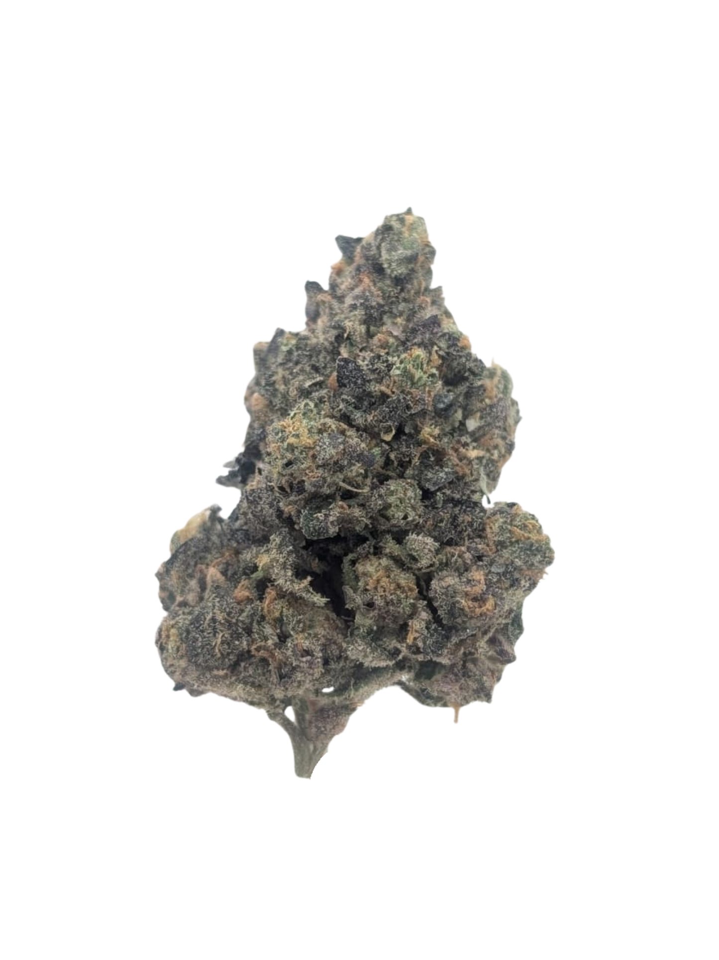 Northern Haze