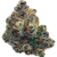 Rock Star — keyed bud cutout