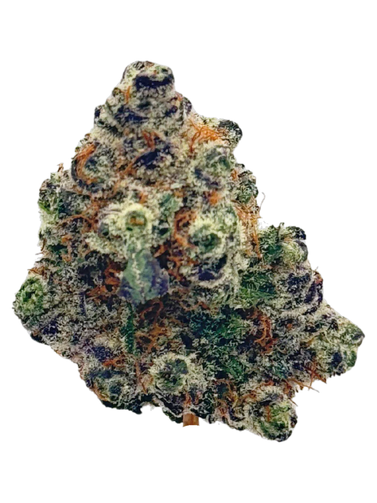 Rock Star — keyed bud cutout