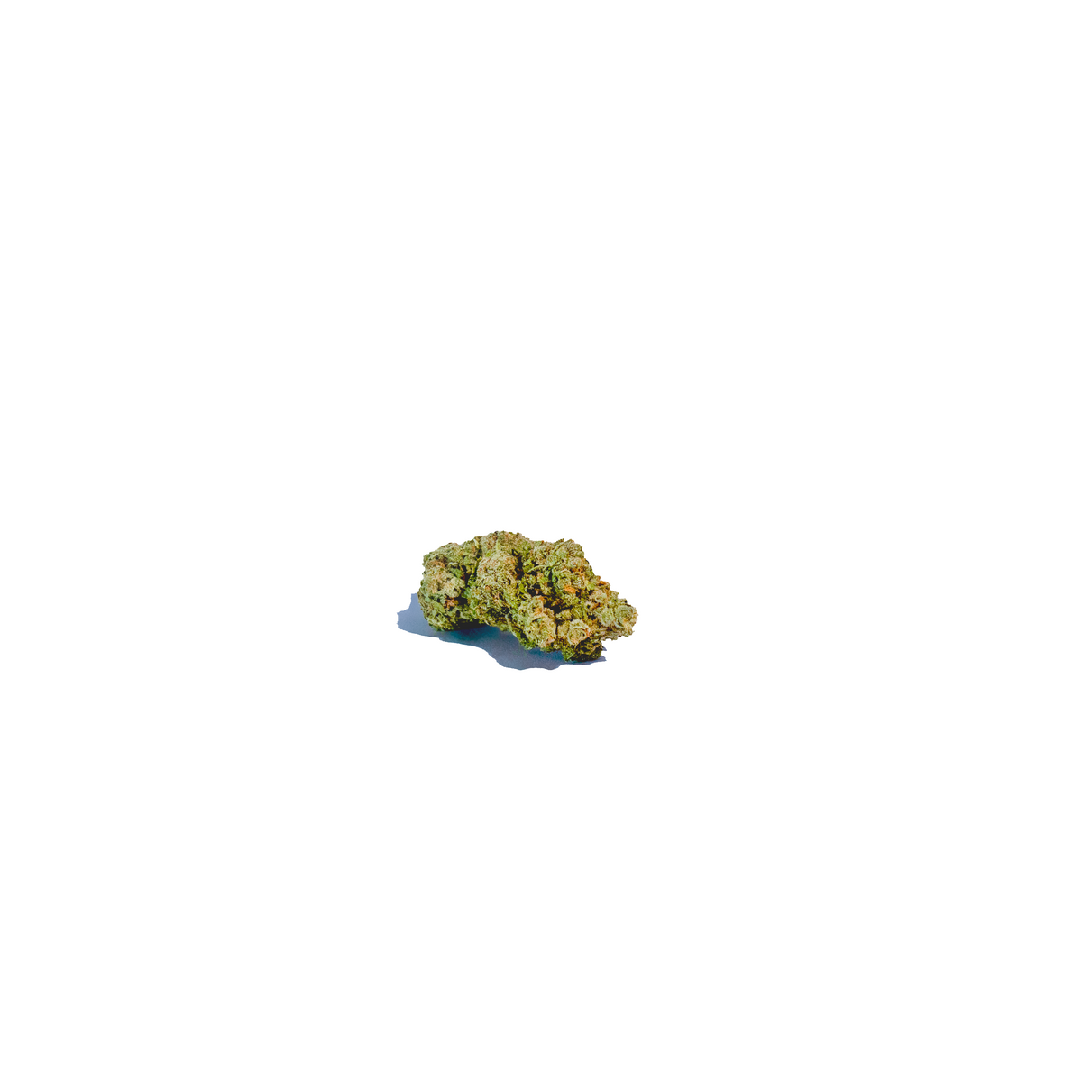 Skittles GreenHouse cannabis cannabis strain — buy online Cape Town | Cannibisters
