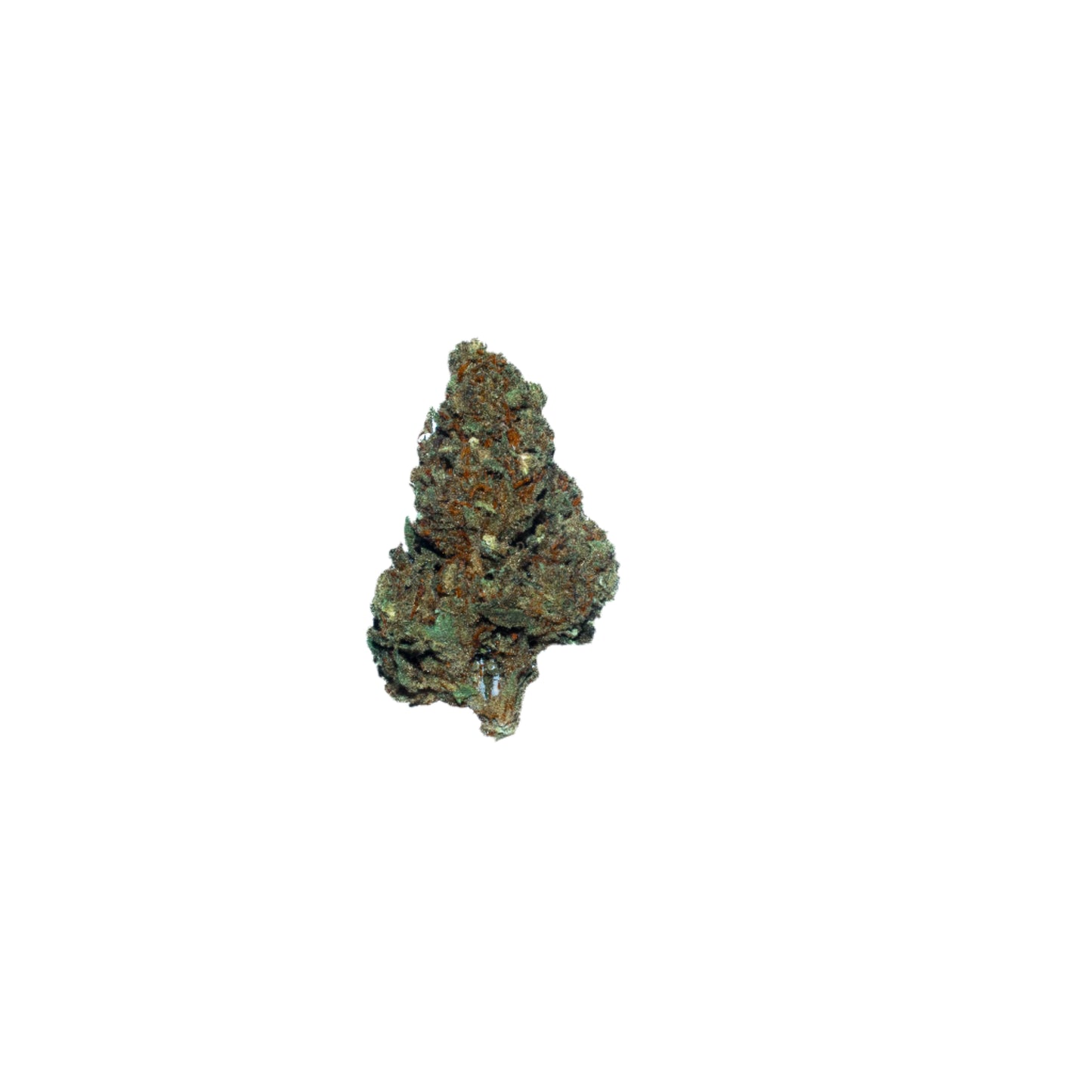 Skywalker (Organic Living Soil)