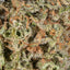 Sour Diesel MS1 - Cannibisters Limited Collection sativa cannabis | Cannibisters Cape Town