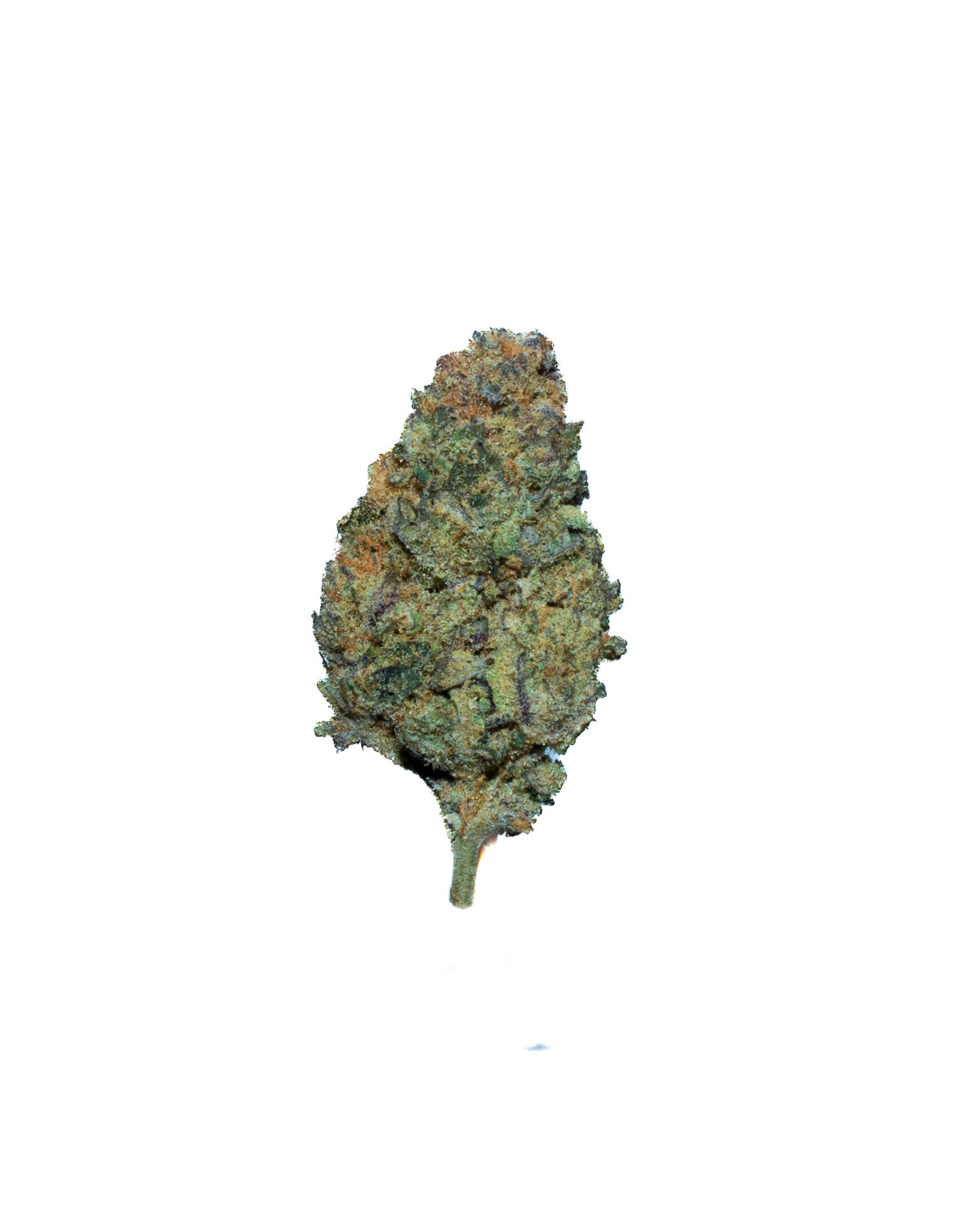 Sugarcane sativa cannabis strain — buy online Cape Town | Cannibisters
