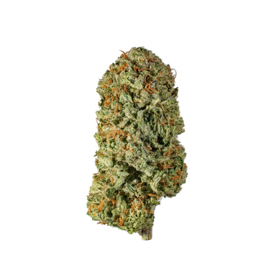 SUPERCHEESE - Cannibisters Limited Collection