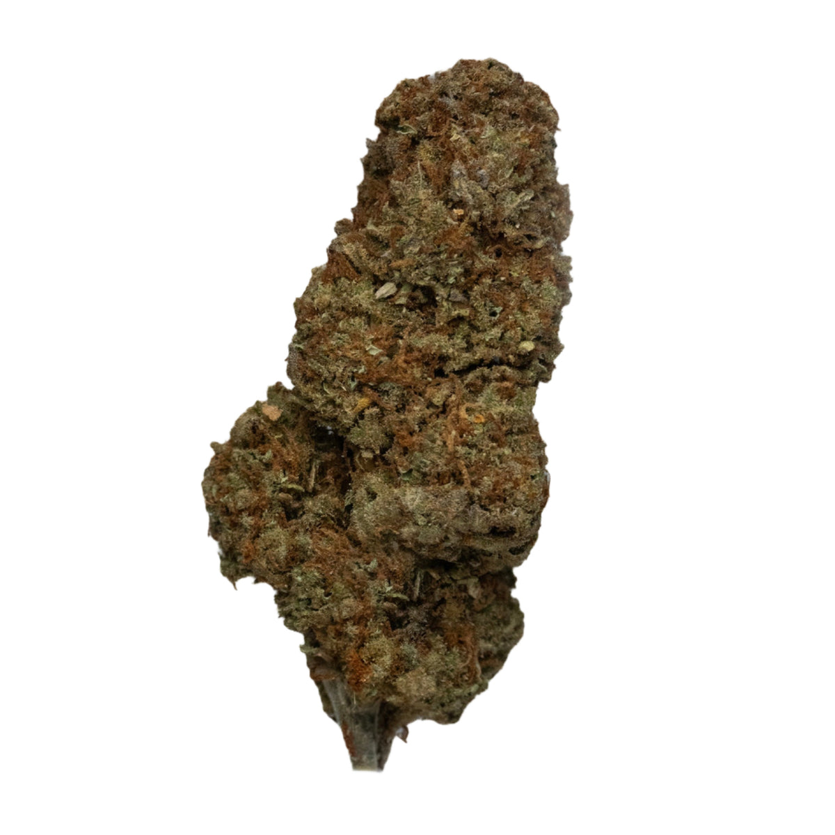 Super Lemon Haze sativa cannabis strain — buy online Cape Town | Cannibisters