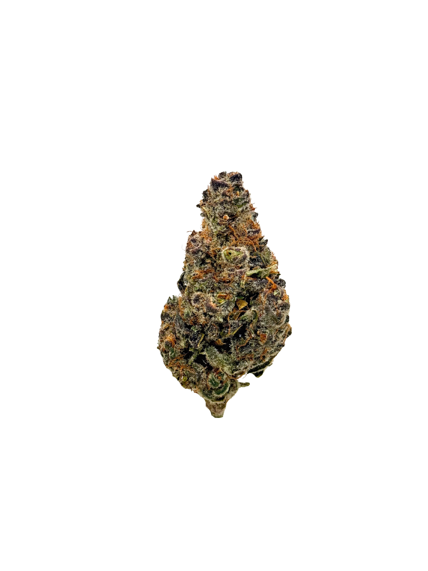 Tropicana Cookies