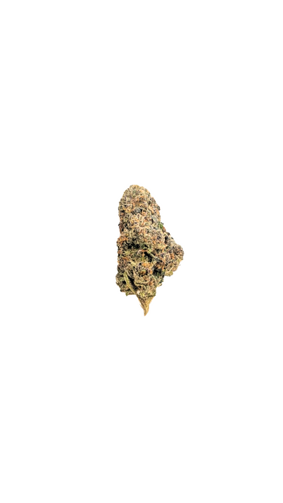 Bubble Velvet