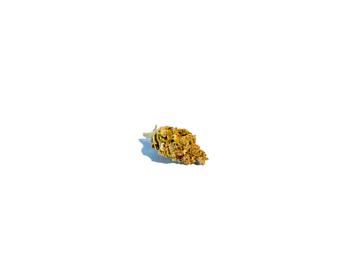 White Russian Greenhouse cannabis cannabis strain — buy online Cape Town | Cannibisters