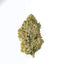 White Widow - Cannibisters Limited Collection sativa cannabis strain — buy online Cape Town | Cannibisters