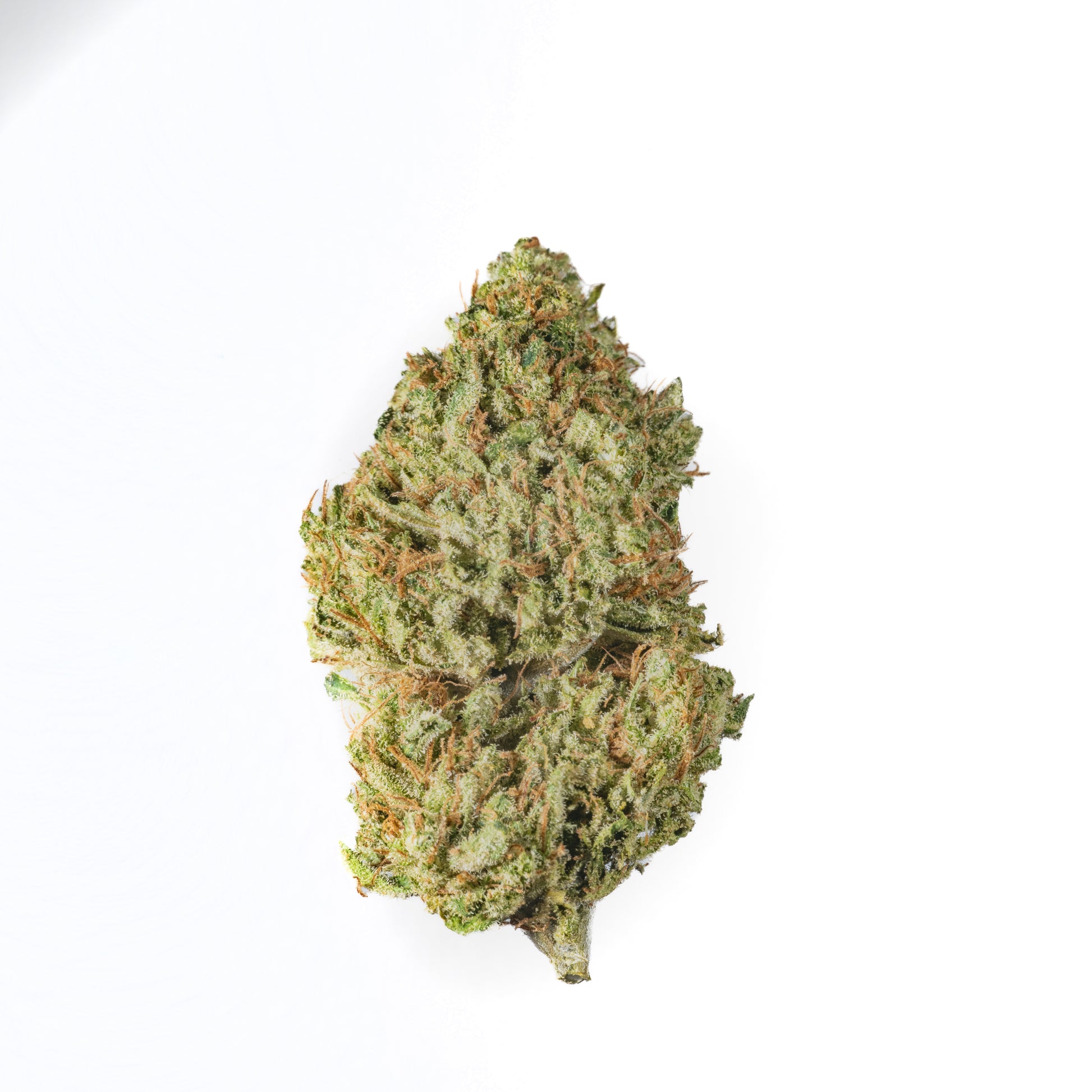 White Widow - Cannibisters Limited Collection sativa cannabis strain — buy online Cape Town | Cannibisters