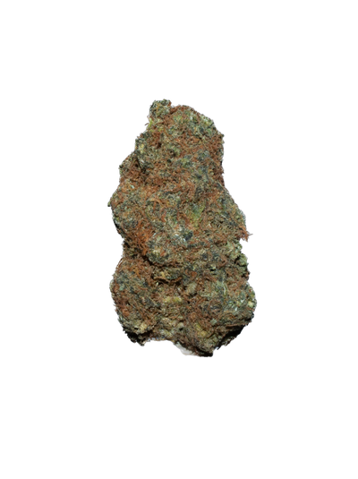 Acapulco Gold cannabis flower bud