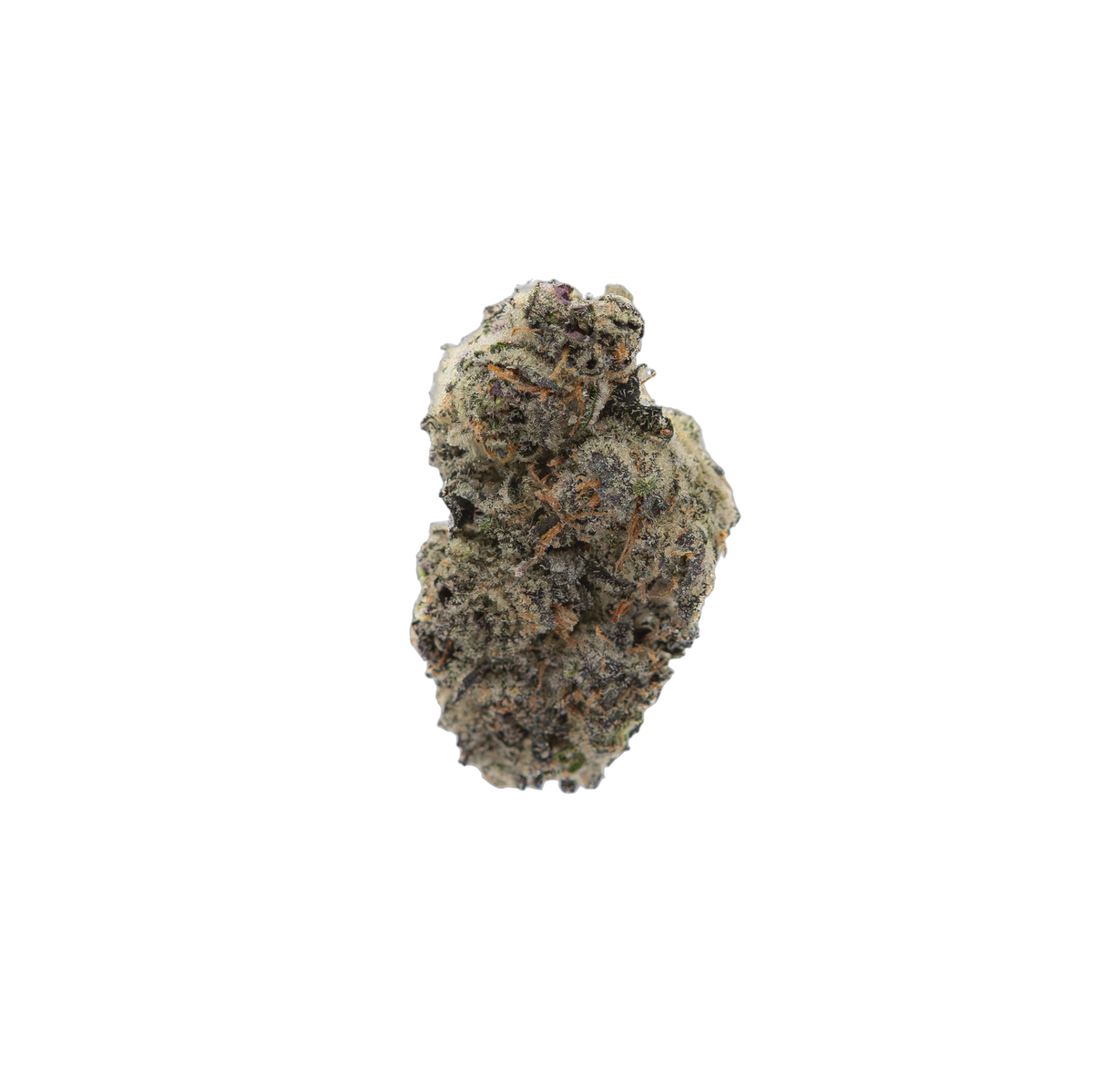 African Dream cannabis flower bud