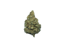 Alaskan Purple (Organic Living Soil) cannabis flower bud