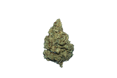 Alaskan Purple (Organic Living Soil) cannabis flower bud