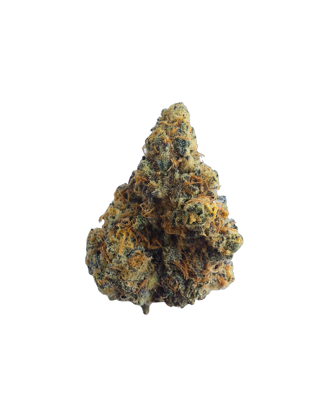 Amnesia Haze cannabis flower bud