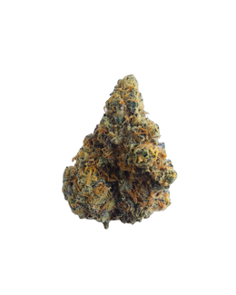 Amnesia Haze cannabis flower bud