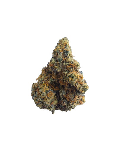 Amnesia Haze cannabis flower bud