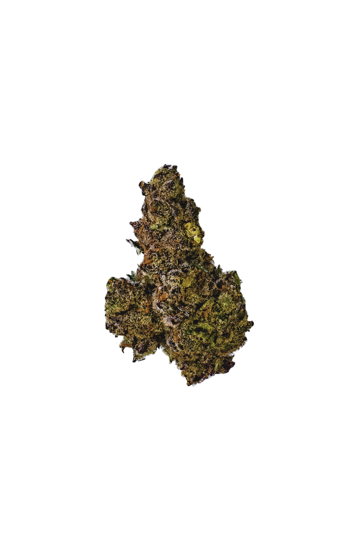 Animal Tsunami cannabis flower bud